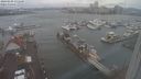 ./images/victoria/wharf/20240109/wharf20240109_131500.jpg