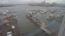 ./images/victoria/wharf/20240109/wharf20240109_133501.jpg