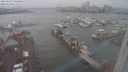 ./images/victoria/wharf/20240109/wharf20240109_141000.jpg