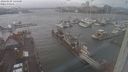 ./images/victoria/wharf/20240109/wharf20240109_144501.jpg