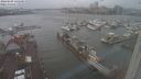 ./images/victoria/wharf/20240109/wharf20240109_145500.jpg