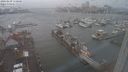 ./images/victoria/wharf/20240109/wharf20240109_150000.jpg