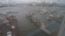 ./images/victoria/wharf/20240109/wharf20240109_150500.jpg