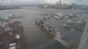./images/victoria/wharf/20240109/wharf20240109_153000.jpg