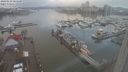 ./images/victoria/wharf/20240110/wharf20240110_085500.jpg