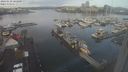 ./images/victoria/wharf/20240110/wharf20240110_103000.jpg