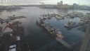 ./images/victoria/wharf/20240110/wharf20240110_105500.jpg