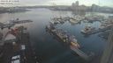 ./images/victoria/wharf/20240110/wharf20240110_110000.jpg