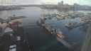 ./images/victoria/wharf/20240110/wharf20240110_110500.jpg
