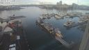 ./images/victoria/wharf/20240110/wharf20240110_111001.jpg