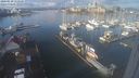 ./images/victoria/wharf/20240110/wharf20240110_115000.jpg