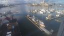 ./images/victoria/wharf/20240110/wharf20240110_121501.jpg