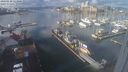 ./images/victoria/wharf/20240110/wharf20240110_123001.jpg