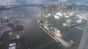 ./images/victoria/wharf/20240110/wharf20240110_124500.jpg