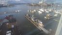./images/victoria/wharf/20240110/wharf20240110_131500.jpg