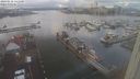./images/victoria/wharf/20240110/wharf20240110_141500.jpg