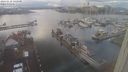 ./images/victoria/wharf/20240110/wharf20240110_142000.jpg
