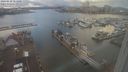 ./images/victoria/wharf/20240110/wharf20240110_151001.jpg