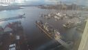 ./images/victoria/wharf/20240110/wharf20240110_152500.jpg