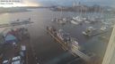 ./images/victoria/wharf/20240110/wharf20240110_155500.jpg