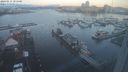 ./images/victoria/wharf/20240111/wharf20240111_081501.jpg