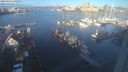 ./images/victoria/wharf/20240111/wharf20240111_092500.jpg