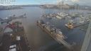 ./images/victoria/wharf/20240111/wharf20240111_123500.jpg