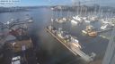 ./images/victoria/wharf/20240111/wharf20240111_124500.jpg