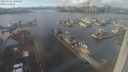 ./images/victoria/wharf/20240111/wharf20240111_130501.jpg