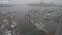 ./images/victoria/wharf/20240111/wharf20240111_152501.jpg