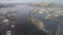 ./images/victoria/wharf/20240114/wharf20240114_104500.jpg
