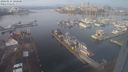 ./images/victoria/wharf/20240114/wharf20240114_105001.jpg