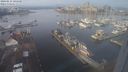 ./images/victoria/wharf/20240114/wharf20240114_105500.jpg