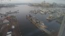 ./images/victoria/wharf/20240114/wharf20240114_111000.jpg