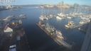 ./images/victoria/wharf/20240115/wharf20240115_101500.jpg