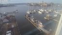 ./images/victoria/wharf/20240115/wharf20240115_132500.jpg