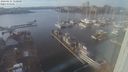 ./images/victoria/wharf/20240115/wharf20240115_150000.jpg