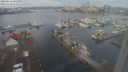 ./images/victoria/wharf/20240116/wharf20240116_104500.jpg