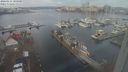 ./images/victoria/wharf/20240116/wharf20240116_105001.jpg