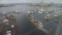 ./images/victoria/wharf/20240116/wharf20240116_105500.jpg