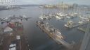 ./images/victoria/wharf/20240116/wharf20240116_111000.jpg