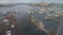 ./images/victoria/wharf/20240116/wharf20240116_111500.jpg