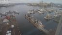 ./images/victoria/wharf/20240116/wharf20240116_112500.jpg