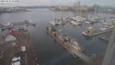 ./images/victoria/wharf/20240116/wharf20240116_113000.jpg