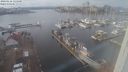 ./images/victoria/wharf/20240116/wharf20240116_135500.jpg