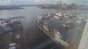 ./images/victoria/wharf/20240116/wharf20240116_150001.jpg