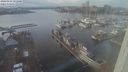 ./images/victoria/wharf/20240116/wharf20240116_151000.jpg