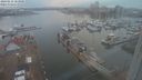 ./images/victoria/wharf/20240116/wharf20240116_163001.jpg