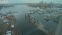 ./images/victoria/wharf/20240116/wharf20240116_164500.jpg