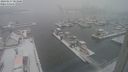 ./images/victoria/wharf/20240117/wharf20240117_083501.jpg